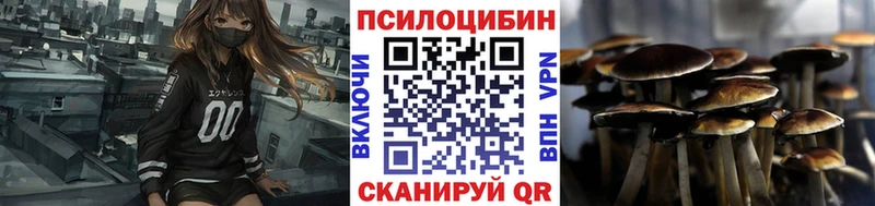 Псилоцибиновые грибы Cubensis Гатчина