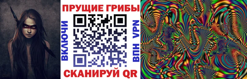 продажа наркотиков  Гатчина  Псилоцибиновые грибы мухоморы 